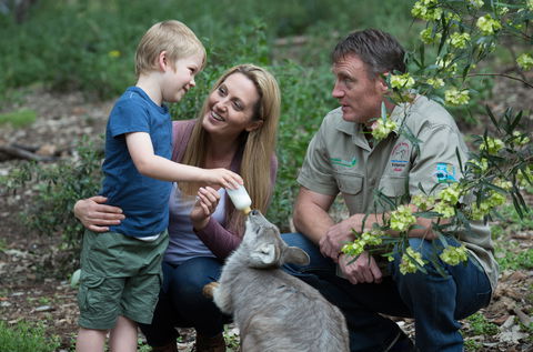 Tamworth Marsupial Park And Adventure Playground - Hervey Bay Accommodation 0