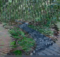 The Channon Protesters Falls Nimbin and Mount Nardi - Hervey Bay Accommodation