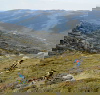 Thredbo Mountain Biking - Hervey Bay Accommodation