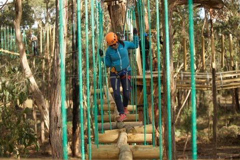Trees Adventure Yeodene Park - Hervey Bay Accommodation 0