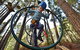 Trees Adventure Yeodene Park - thumb 1