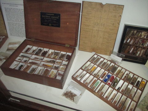 UQ Marks-Hirschfeld Museum Of Medical History - Hervey Bay Accommodation 0
