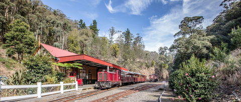 Walhalla Goldfields Railway - Hervey Bay Accommodation 1