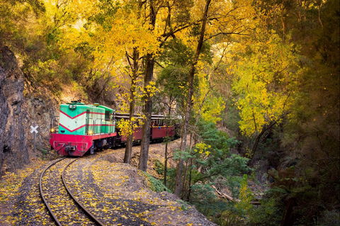 Walhalla Goldfields Railway - Hervey Bay Accommodation 2