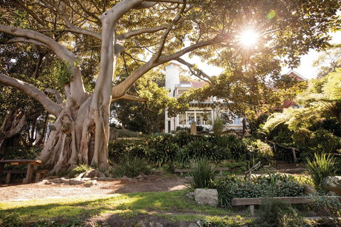 Wendy Whiteley's Secret Garden - Hervey Bay Accommodation 0