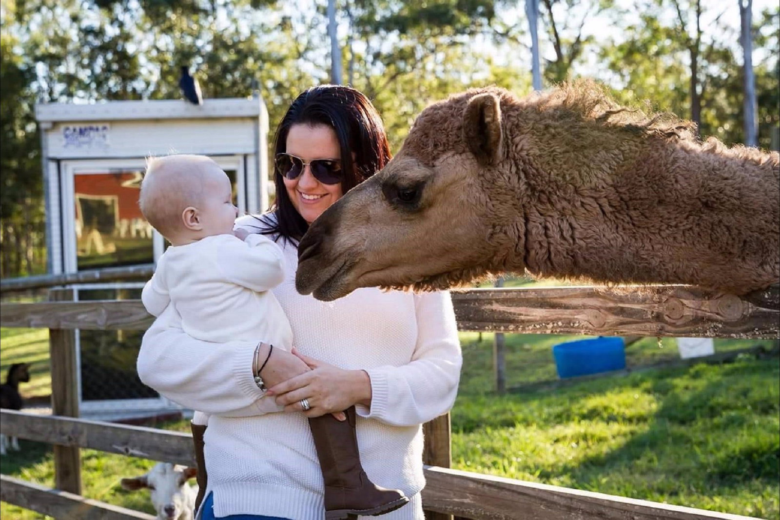 Elimbah QLD Hervey Bay Accommodation