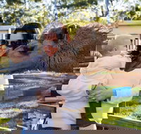 White Ridge Farm - Hervey Bay Accommodation