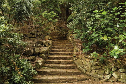 William Ricketts Sanctuary - Hervey Bay Accommodation 1