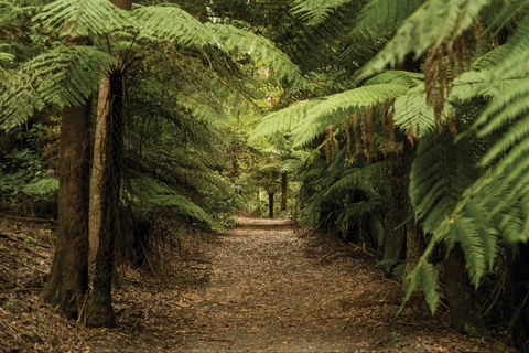 William Ricketts Sanctuary - Hervey Bay Accommodation 2