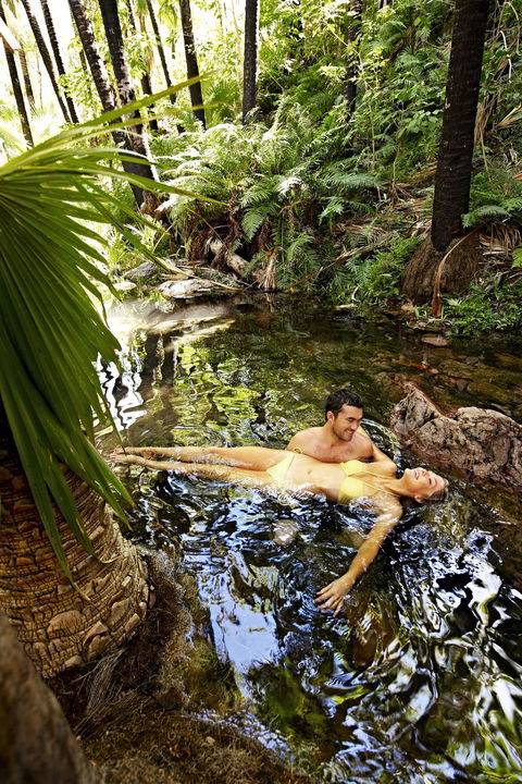 Wool Wagon Pathway - Tourism Hervey Bay 1