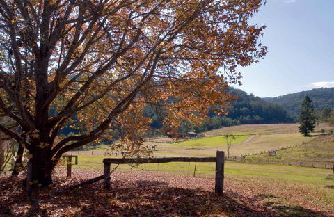 Yengo National Park - Hervey Bay Accommodation 1