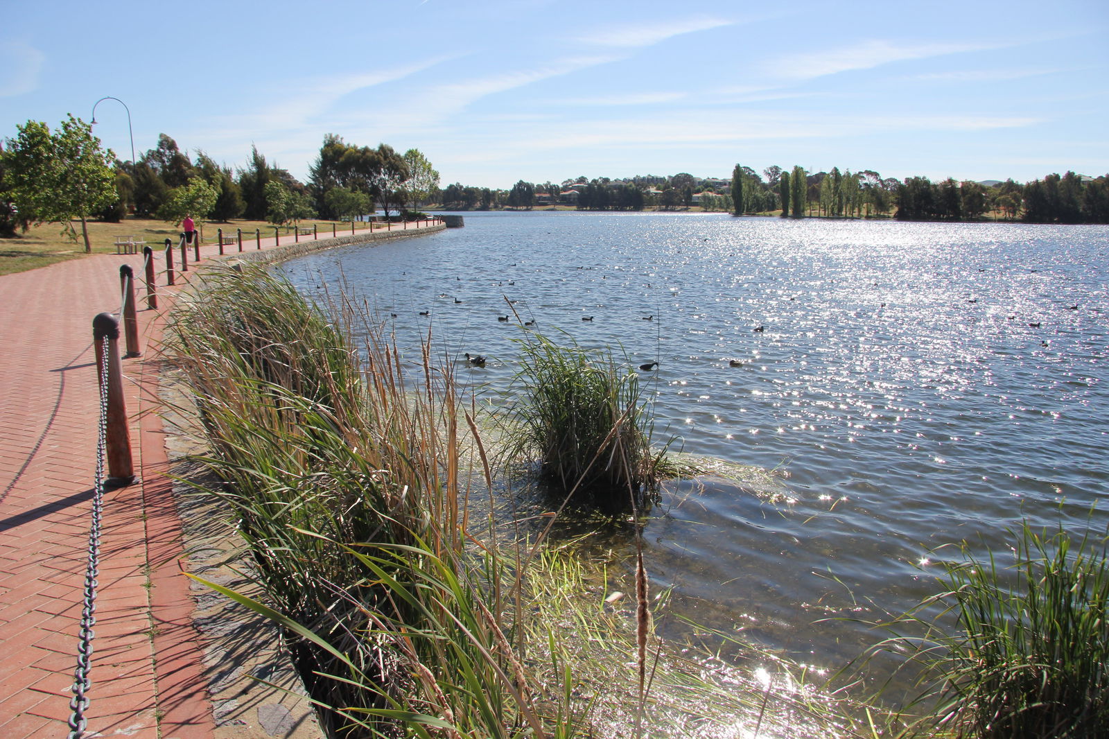 Amaroo ACT Hervey Bay Accommodation