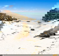 Abrolhos Islands - Tourism Hervey Bay