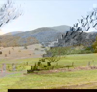 Banimboola Creek Rest Area - Hervey Bay Accommodation