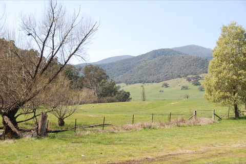 Banimboola Creek Rest Area - Hervey Bay Accommodation 0