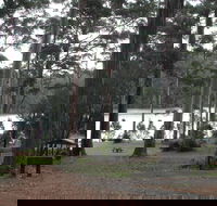 Big Brook Arboretum - Hervey Bay Accommodation