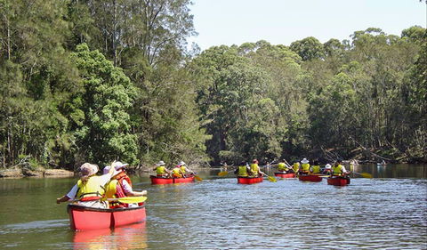 Bonville Creek - Tourism Hervey Bay 0