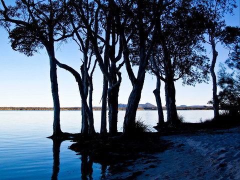 Boreen Point - Hervey Bay Accommodation 0