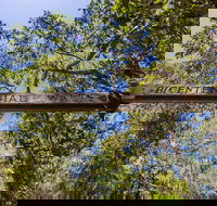 Bribie Island Bicentennial Trails - Hervey Bay Accommodation