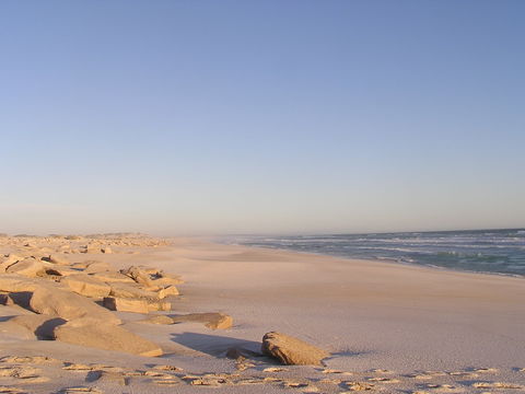 Chadinga Conservation Park - Hervey Bay Accommodation 2