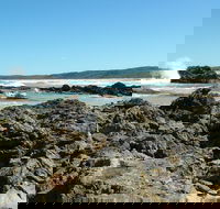 Coastal Walks - Bermagui - Hervey Bay Accommodation