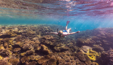 Complete Ningaloo Reef Experience - Hervey Bay Accommodation 1