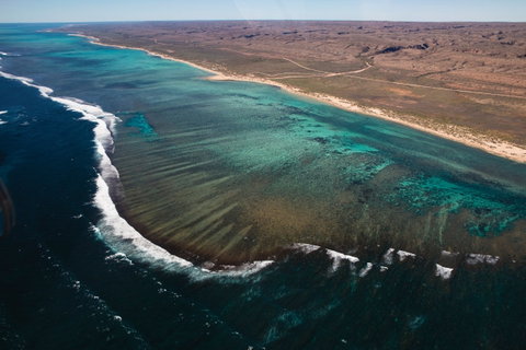 Complete Ningaloo Reef Experience - Hervey Bay Accommodation 2