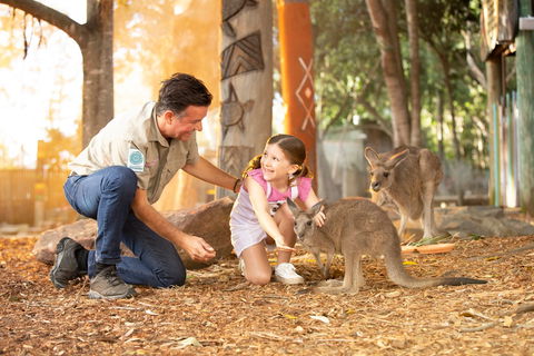 Dreamworld - Tourism Hervey Bay 2