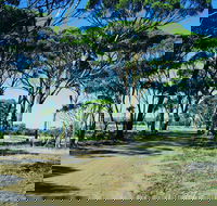 Dumbleyung - Tourism Hervey Bay
