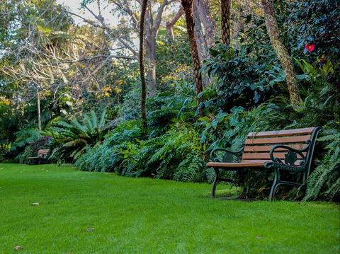EG Waterhouse National Camellia Gardens - Tourism Hervey Bay 0