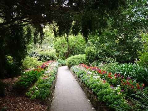 EG Waterhouse National Camellia Gardens - Tourism Hervey Bay 1