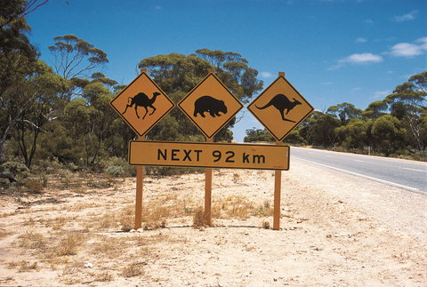 Eyre Highway - Tourism Hervey Bay 1