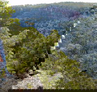 Glenbrook Gorge Track - Hervey Bay Accommodation