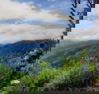 Gloucester Falls Walking Track