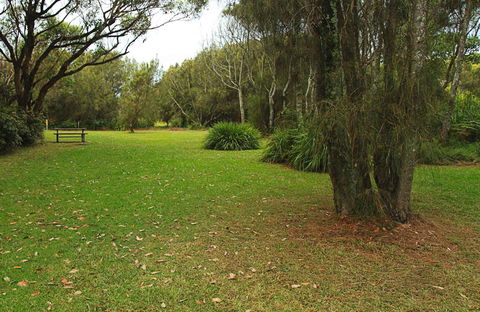 Hammerhead Point Picnic Area - Hervey Bay Accommodation 0
