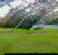 Haynes Flat picnic area - Hervey Bay Accommodation