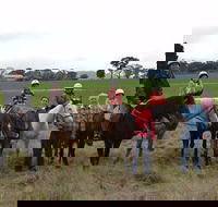 High Country Trail Rides - Hervey Bay Accommodation