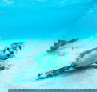 Jurien Bay - Hervey Bay Accommodation