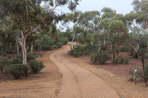 Karlkurla Bushland Park - Tourism Hervey Bay 0
