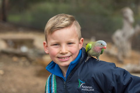 Kyabram Fauna Park - Hervey Bay Accommodation 2