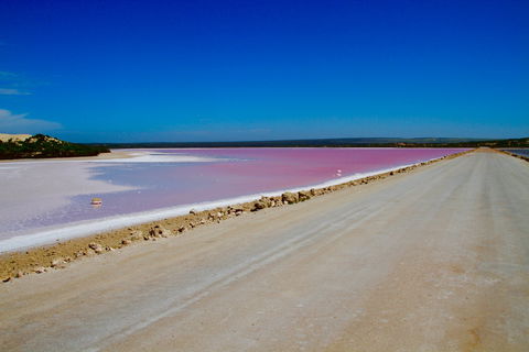 Lake McDonnell - Hervey Bay Accommodation 0