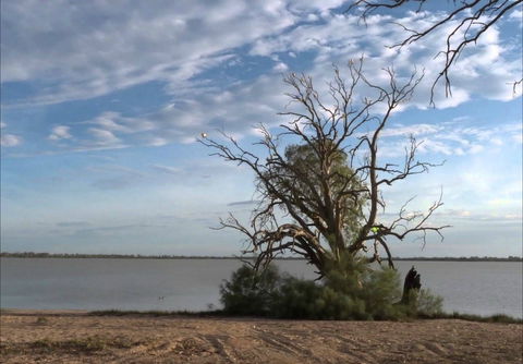 Lake Benanee - Hervey Bay Accommodation 0