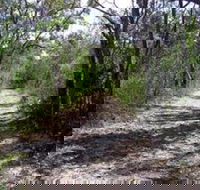 Lanky's Walk - Tourism Hervey Bay