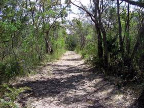 Lanky's Walk - Hervey Bay Accommodation 0