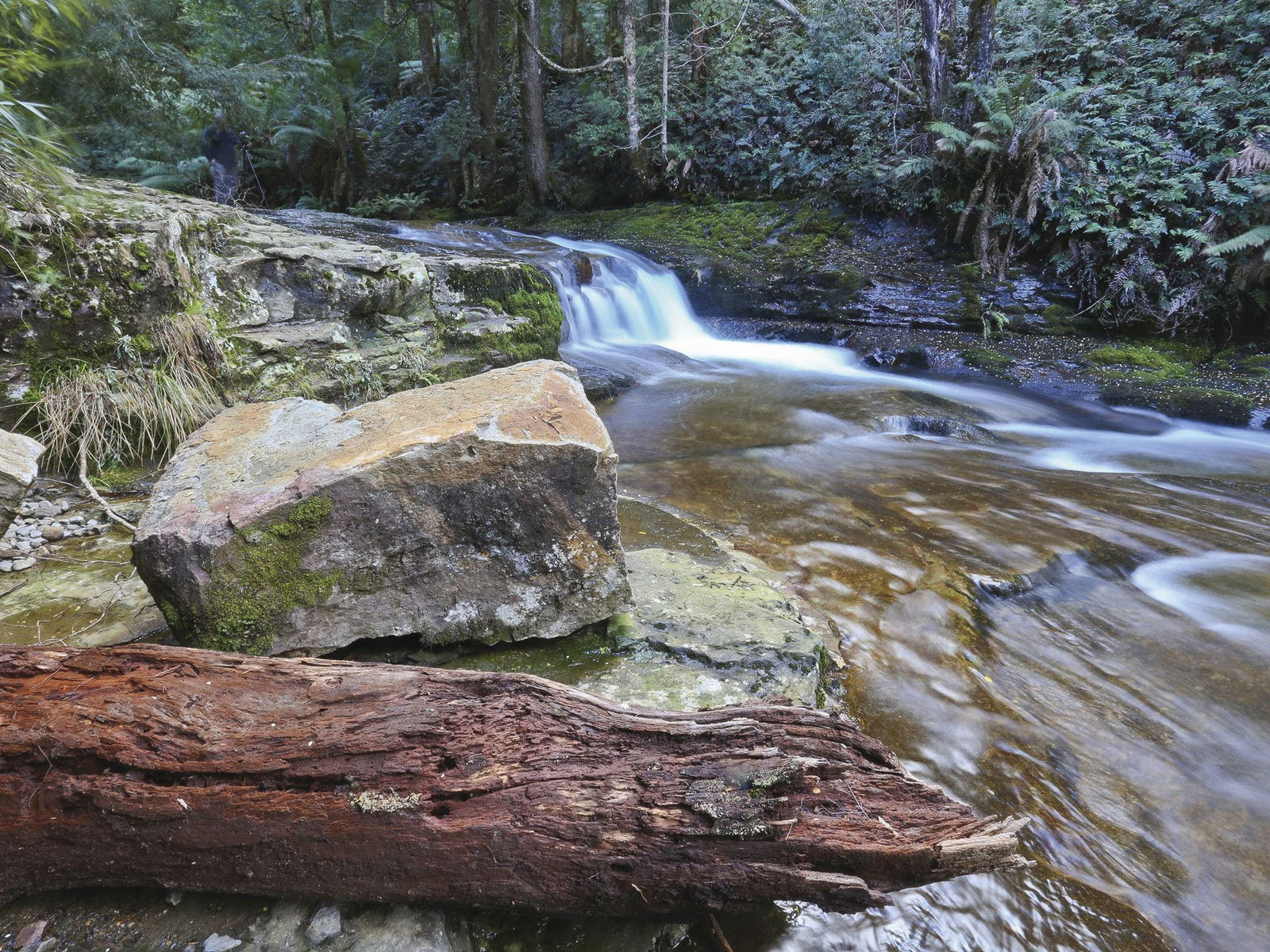 Liffey TAS Hervey Bay Accommodation
