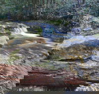 Liffey Falls Reserve - Hervey Bay Accommodation