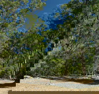 Maidens Tuart Forest - Hervey Bay Accommodation