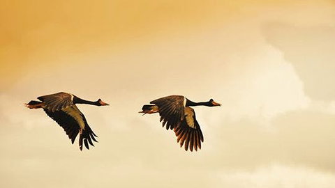 Mary River - Tourism Hervey Bay 1