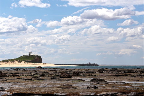 Nobbys Beach - Hervey Bay Accommodation 1