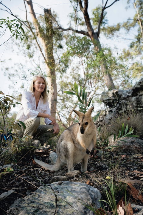 North Burnett - Mount Perry (via Monto) To Biggenden To Childers - Hervey Bay Accommodation 2